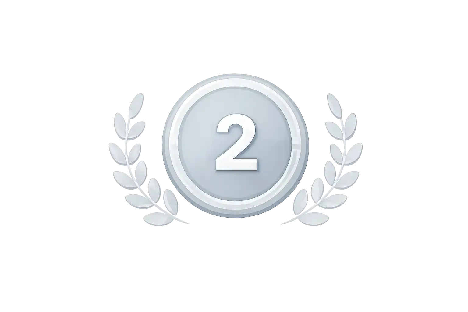 Silver Medal